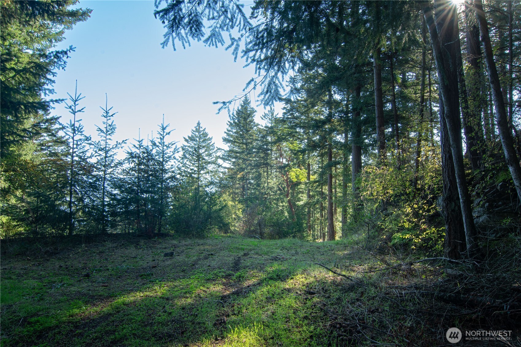 1130 Island Drive Property Photo 3