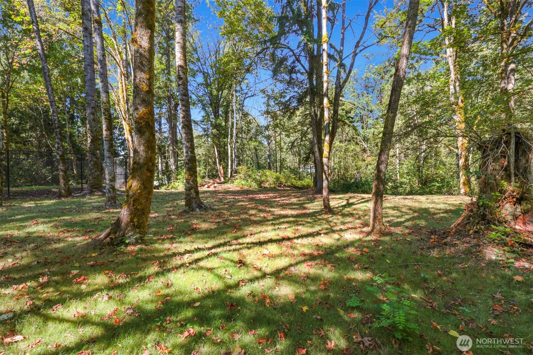 19024 140th Avenue Property Photo 39