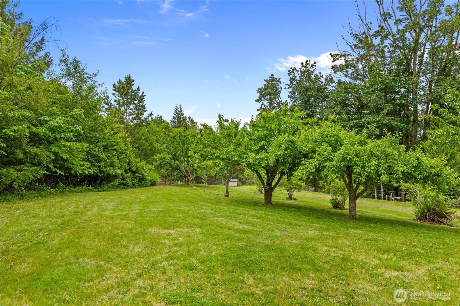 27346 Lake Cavanaugh Road Property Photo 31