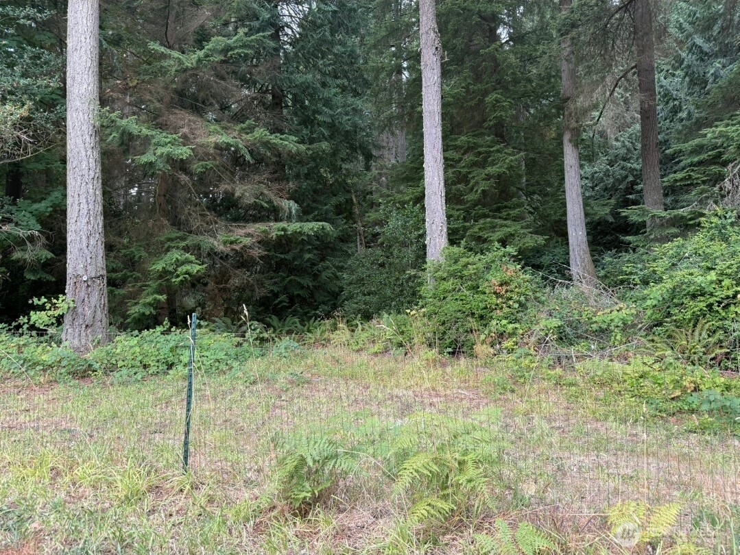 0 Albright Avenue Property Photo 11
