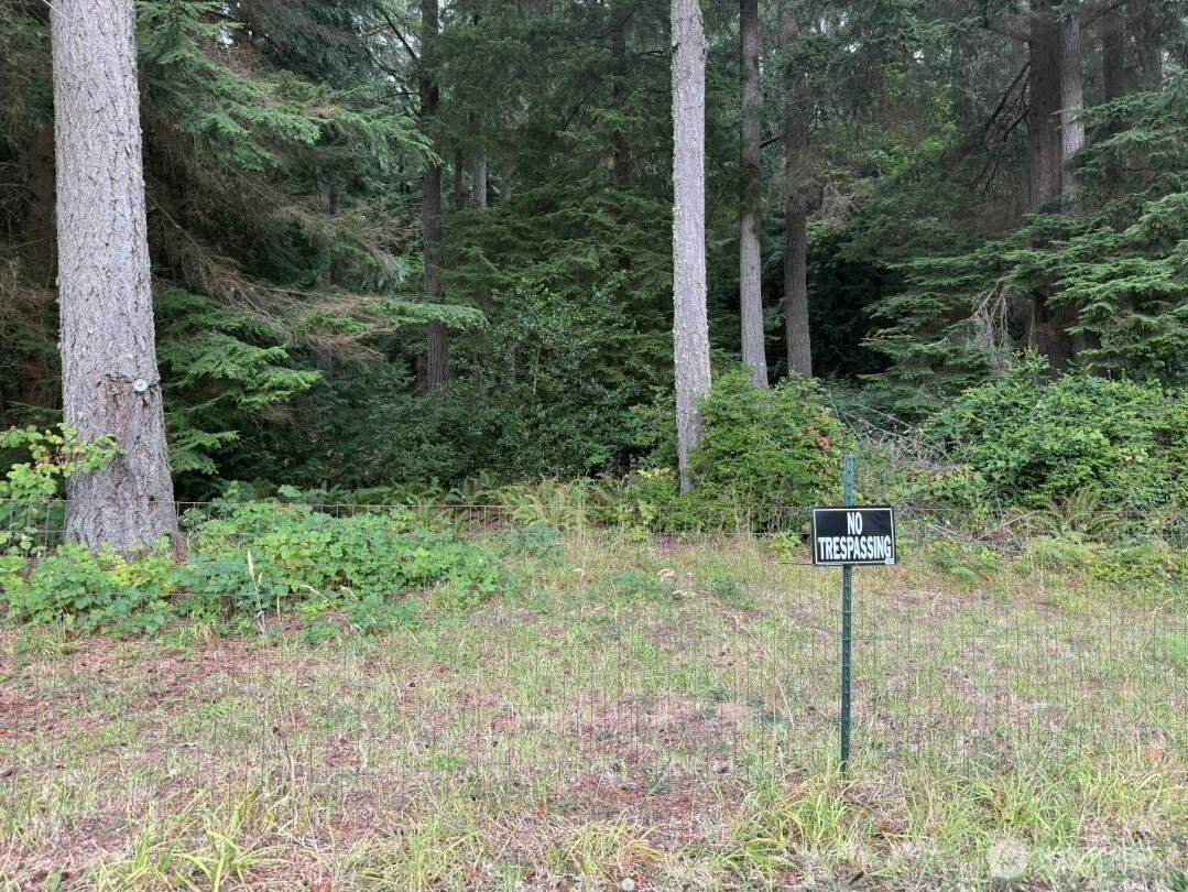 0 Albright Avenue Property Photo 12