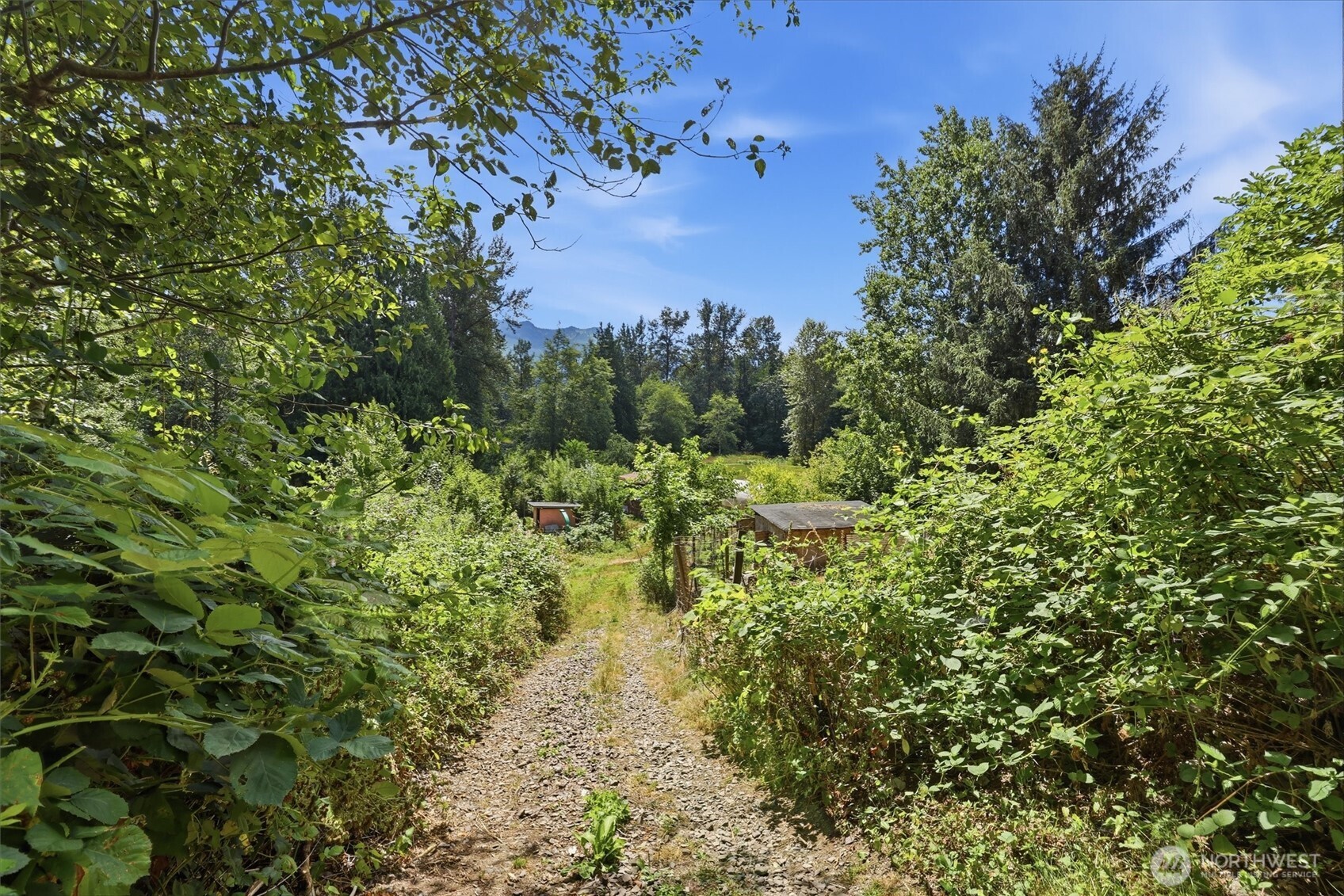 40420 145th Place Property Photo 29
