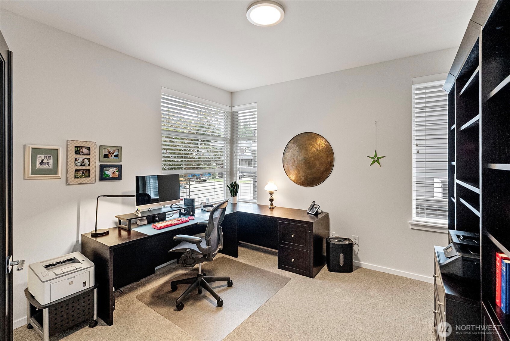 4635 Olivine Drive Property Photo 19