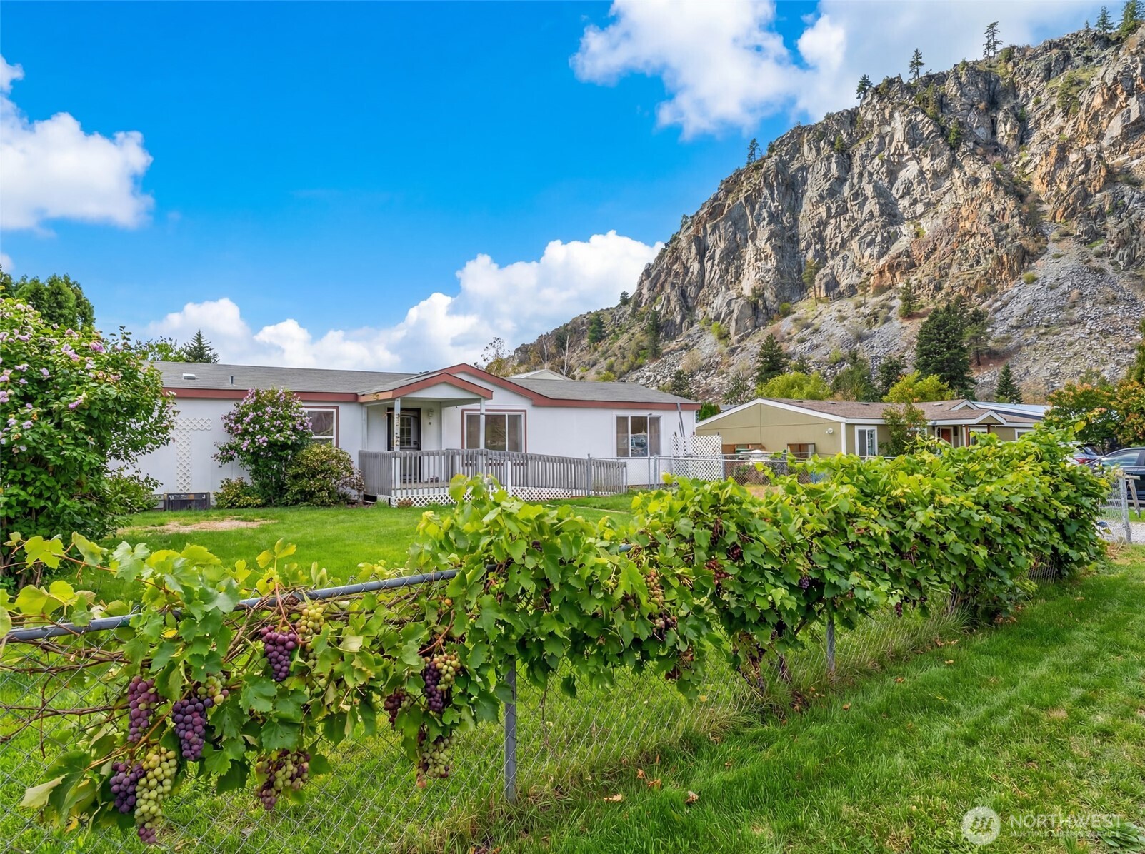 14934 Golden Delicious Property Photo 35