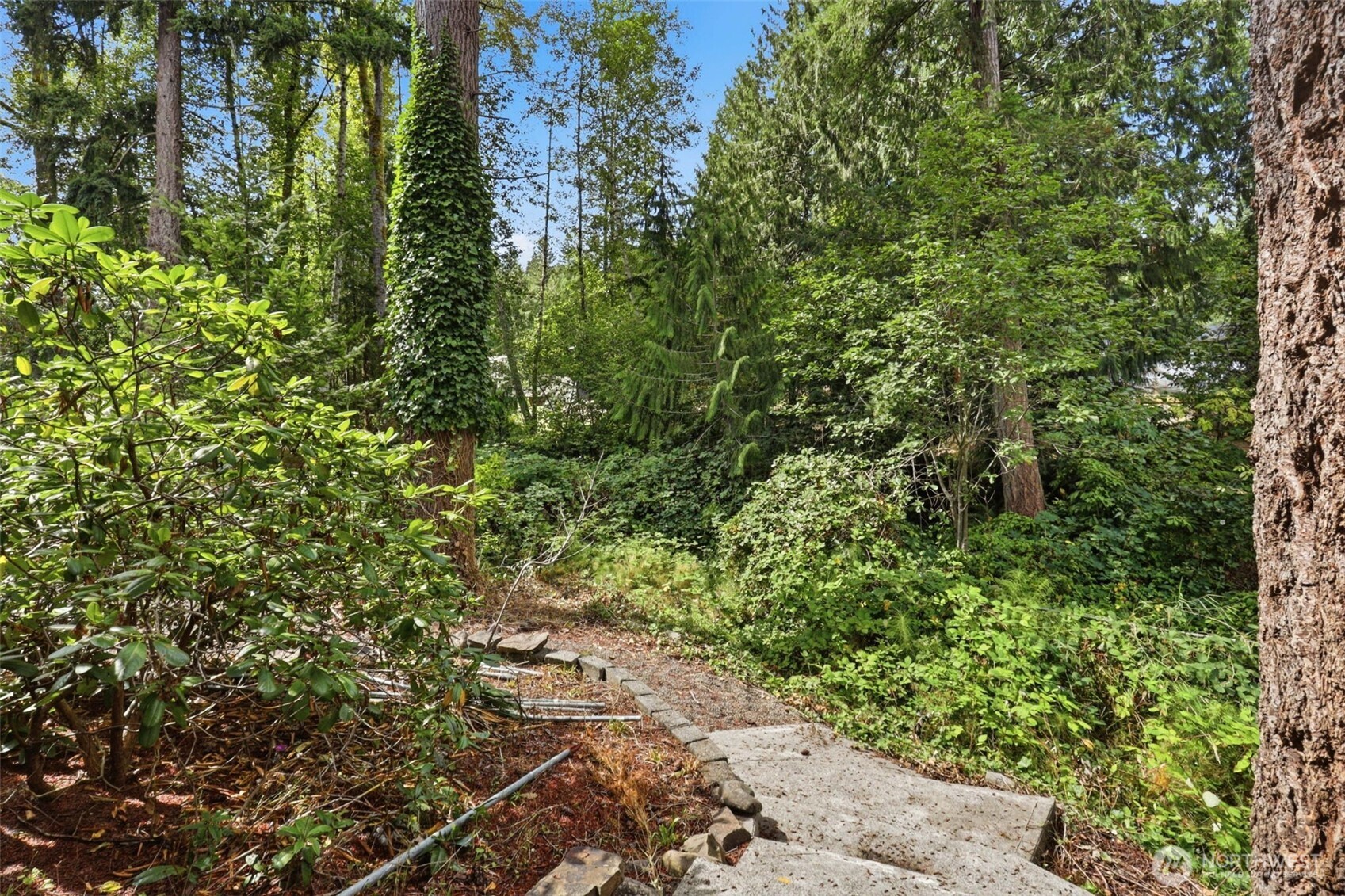 325 Rollingwood Drive Property Photo 29