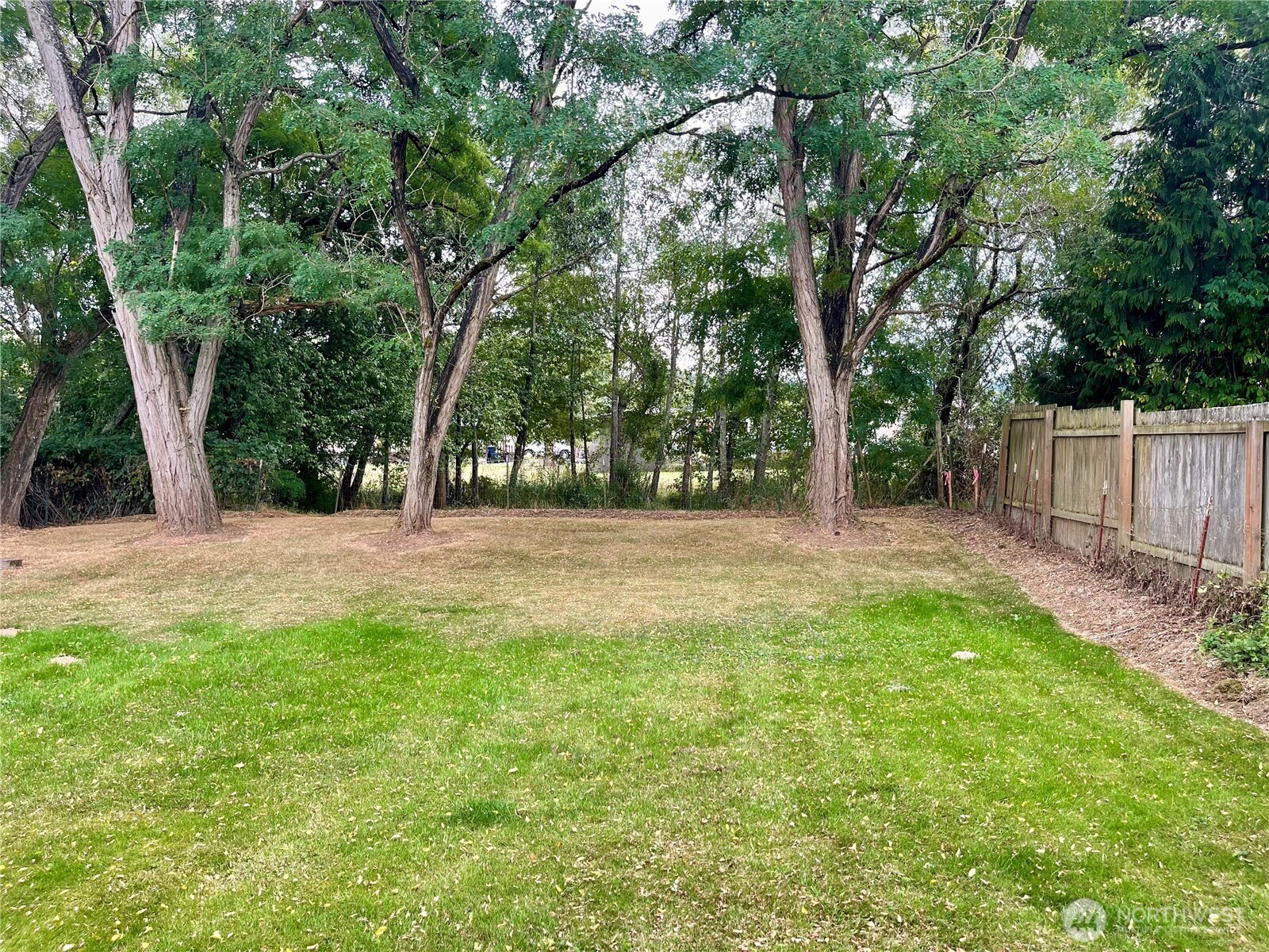 3316 E College Way Property Photo 33