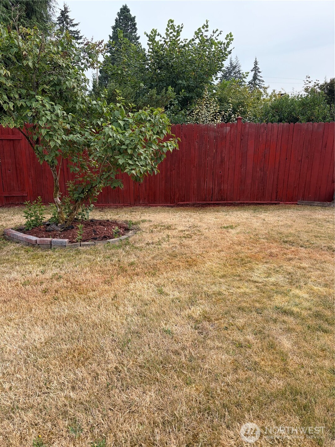 4819 19th Avenue Property Photo 35