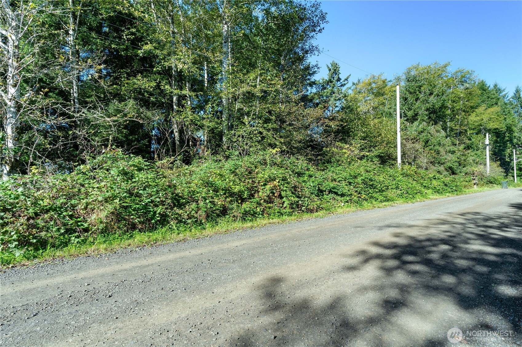 0 Lot60&61 Of Taholah Ocean Tracts Property Photo 2