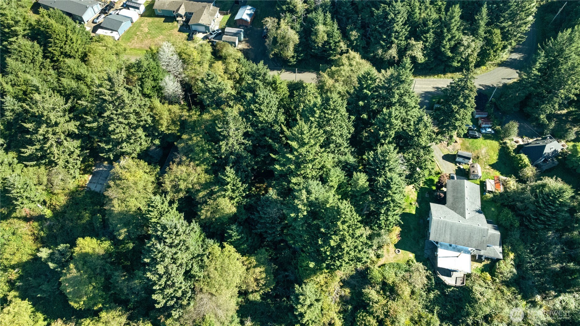 0 Lot60&61 Of Taholah Ocean Tracts Property Photo 3