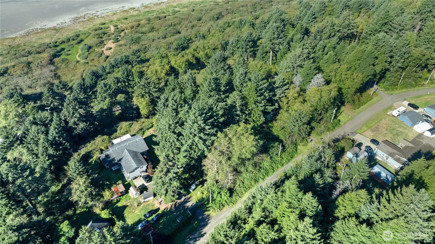 0 Lot60&61 Of Taholah Ocean Tracts Property Photo 9