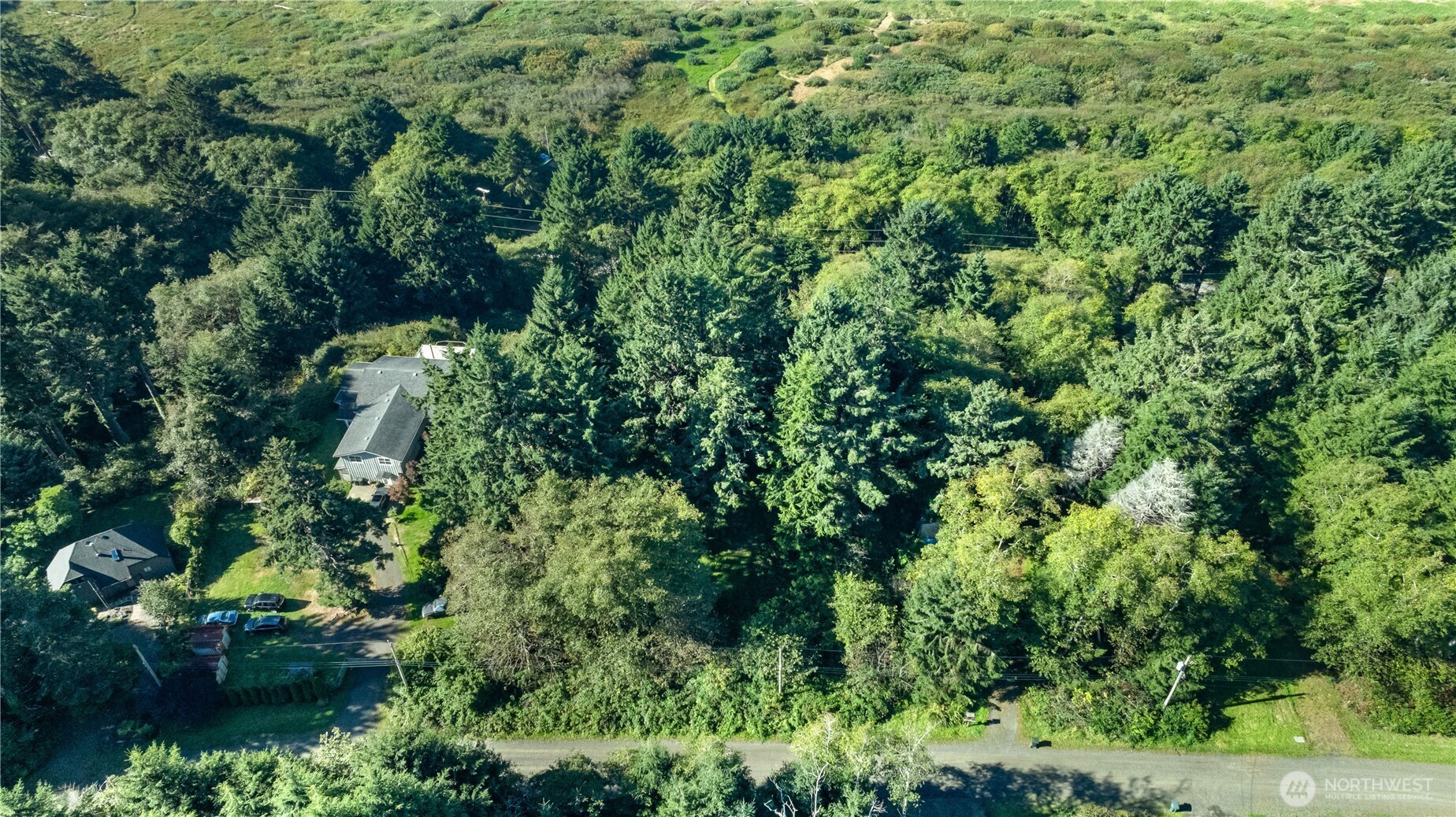 0 Lot60&61 Of Taholah Ocean Tracts Property Photo 10