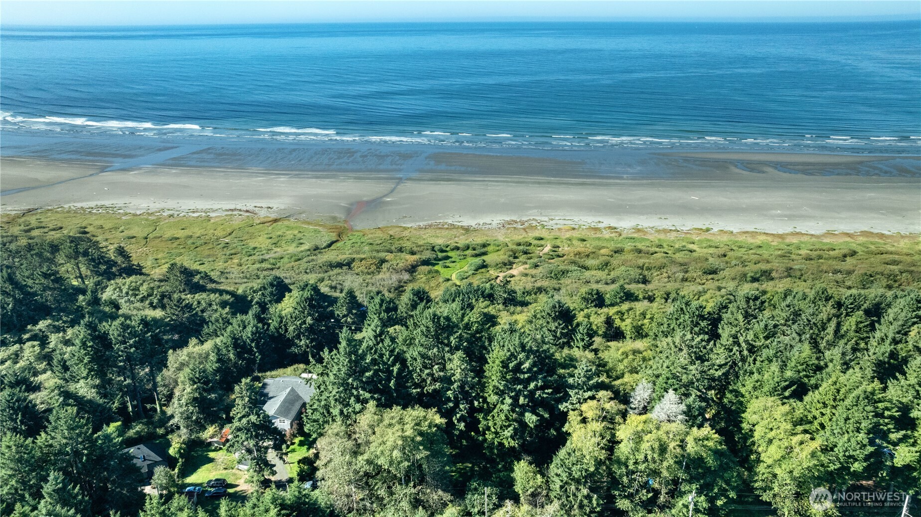 0 Lot60&61 Of Taholah Ocean Tracts Property Photo 11