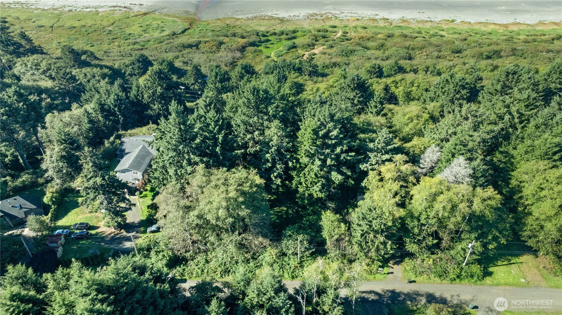 0 Lot60&61 Of Taholah Ocean Tracts Property Photo 12