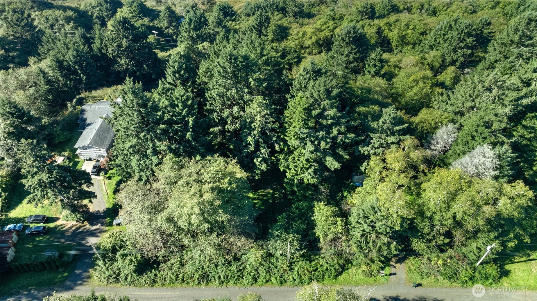 0 Lot60&61 Of Taholah Ocean Tracts Property Photo 13