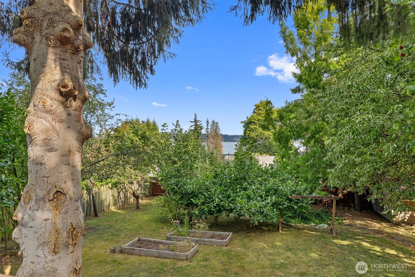 4511 Lakeway Drive Property Photo 40