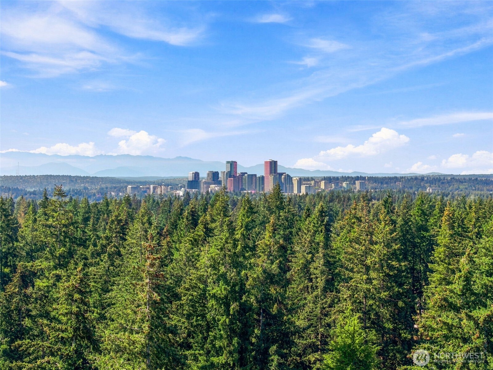 1821 155th Avenue Property Photo 37