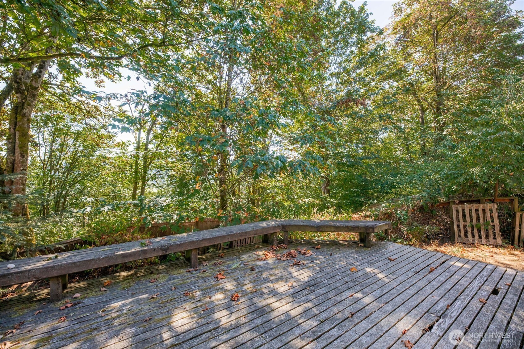 15207 229th Drive Property Photo 7