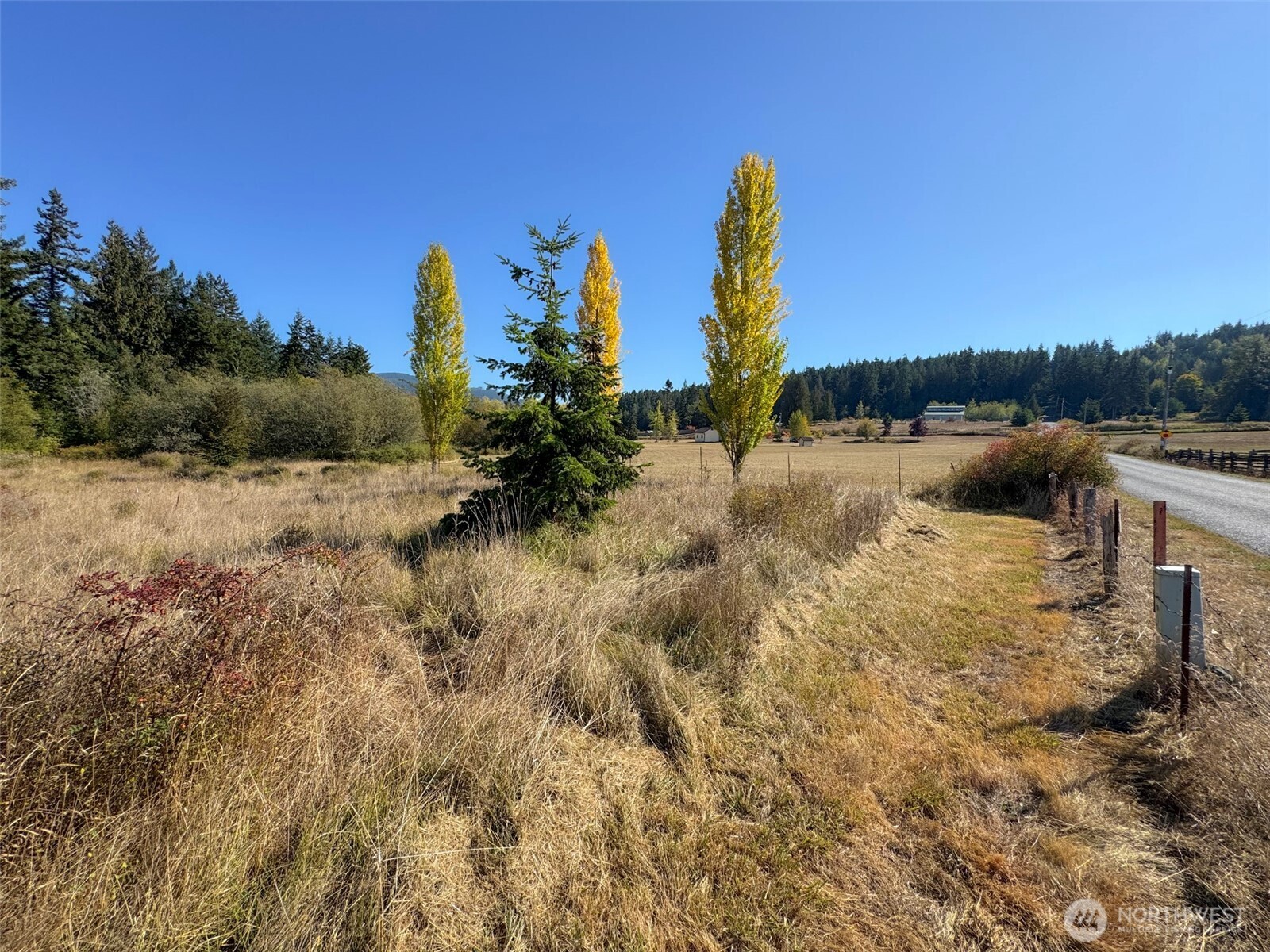 9999 Hooker Road Property Photo 12