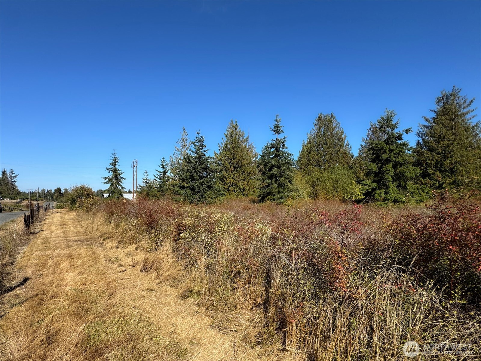9999 Hooker Road Property Photo 16