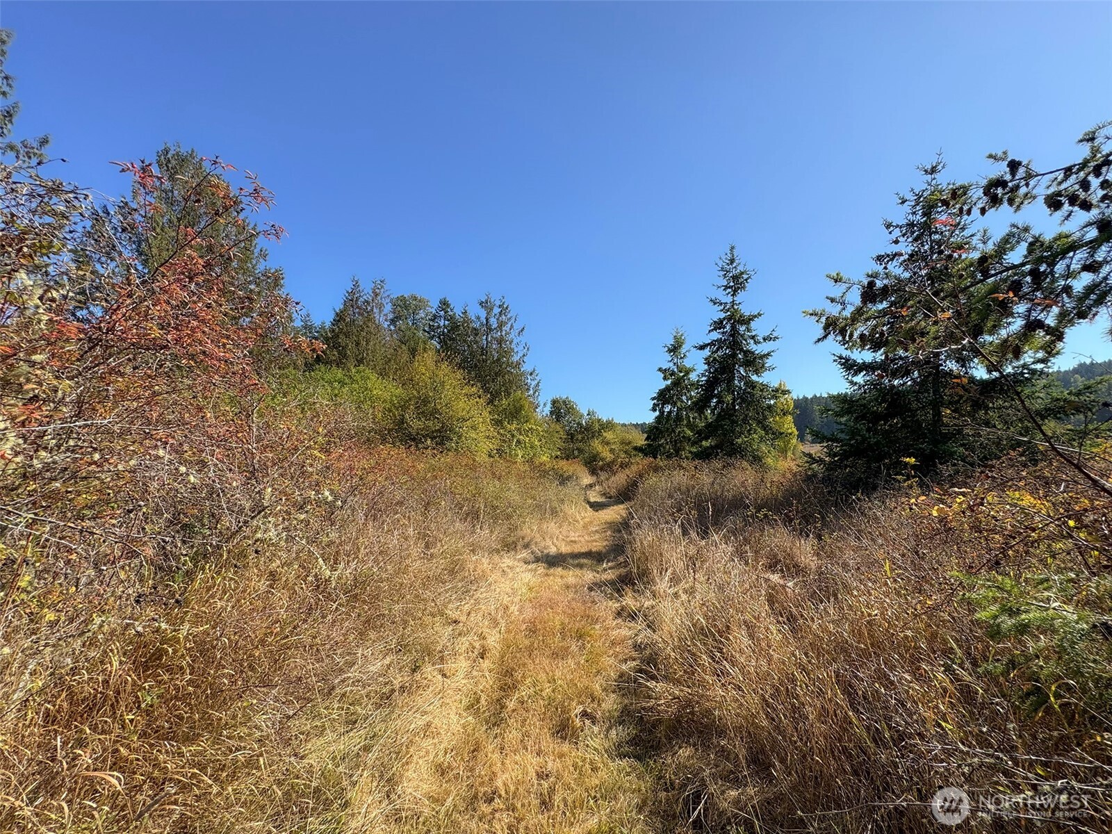 9999 Hooker Road Property Photo 18