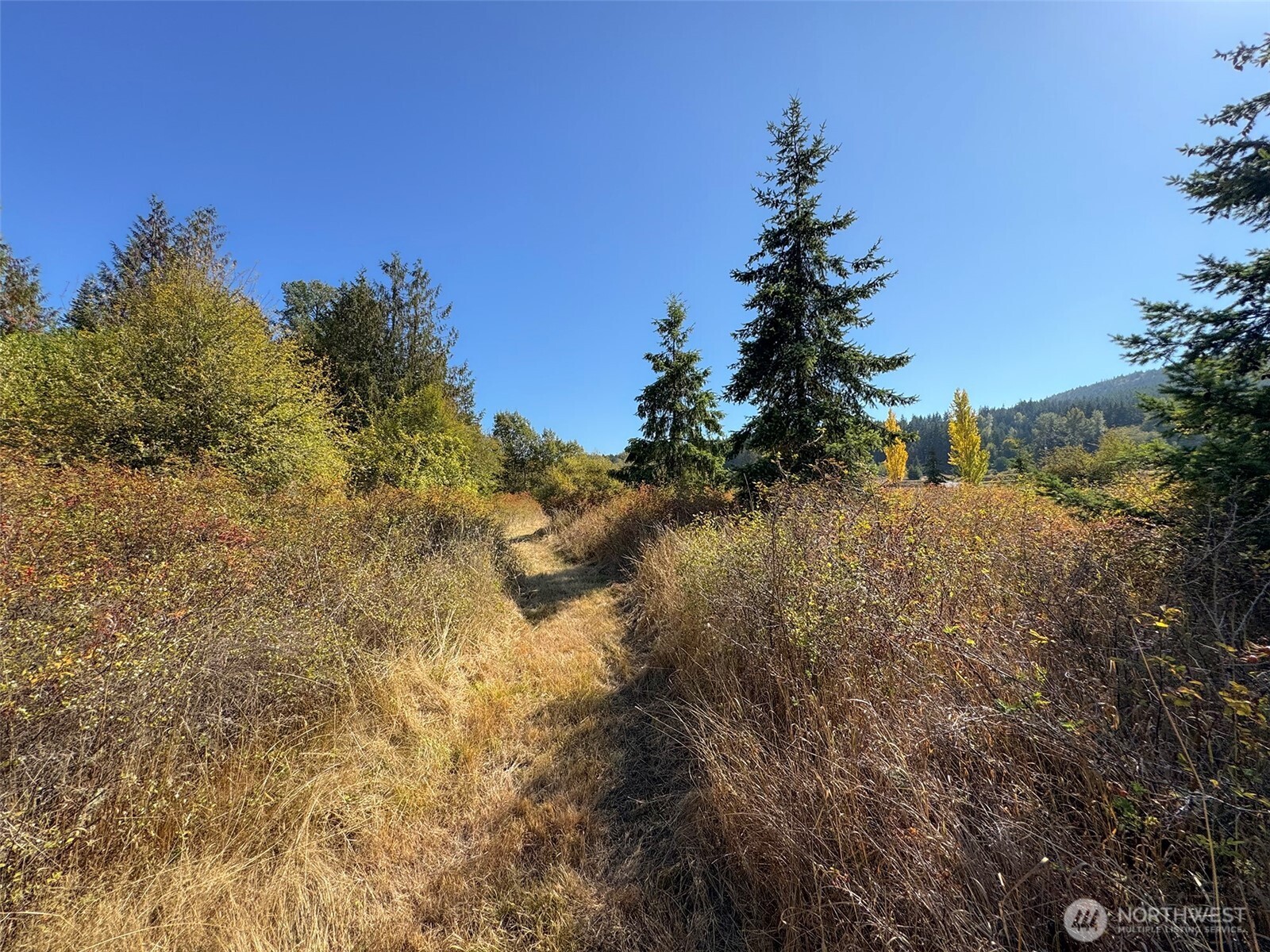 9999 Hooker Road Property Photo 19
