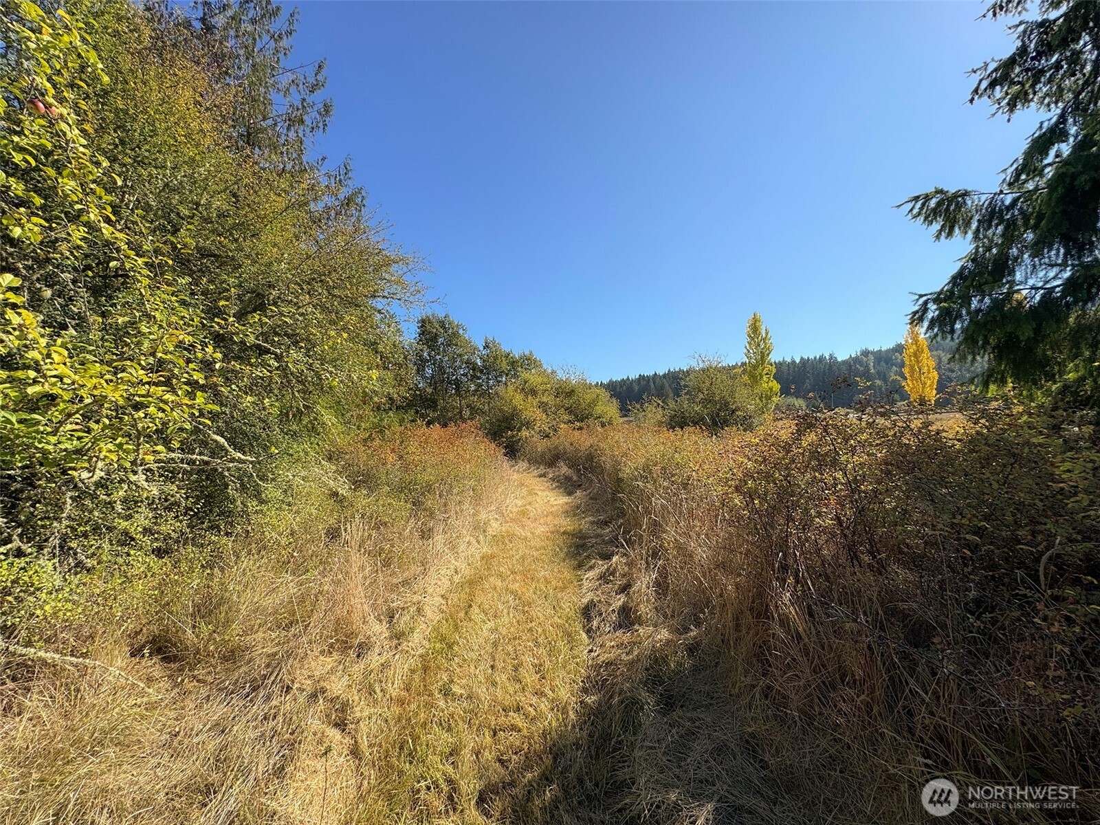 9999 Hooker Road Property Photo 20