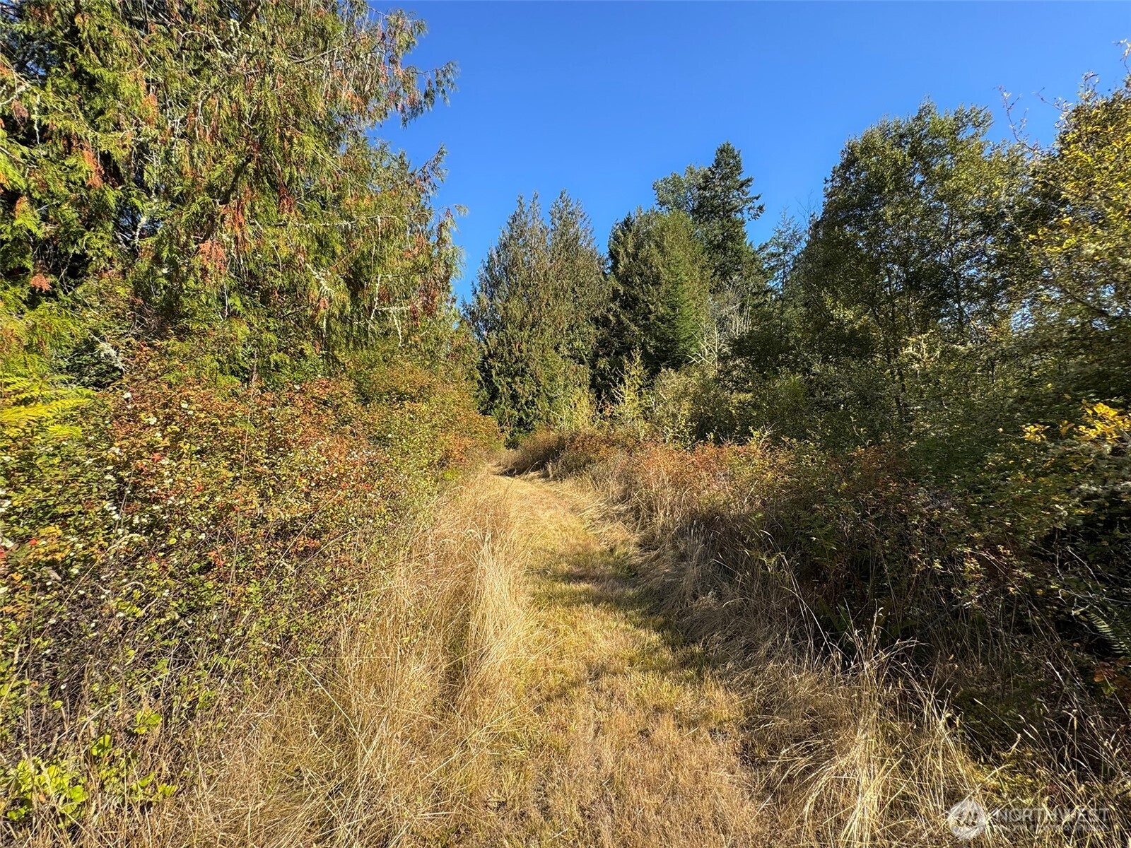 9999 Hooker Road Property Photo 21