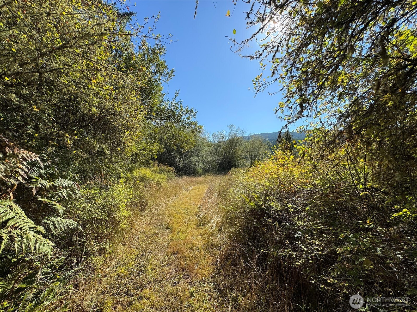 9999 Hooker Road Property Photo 22