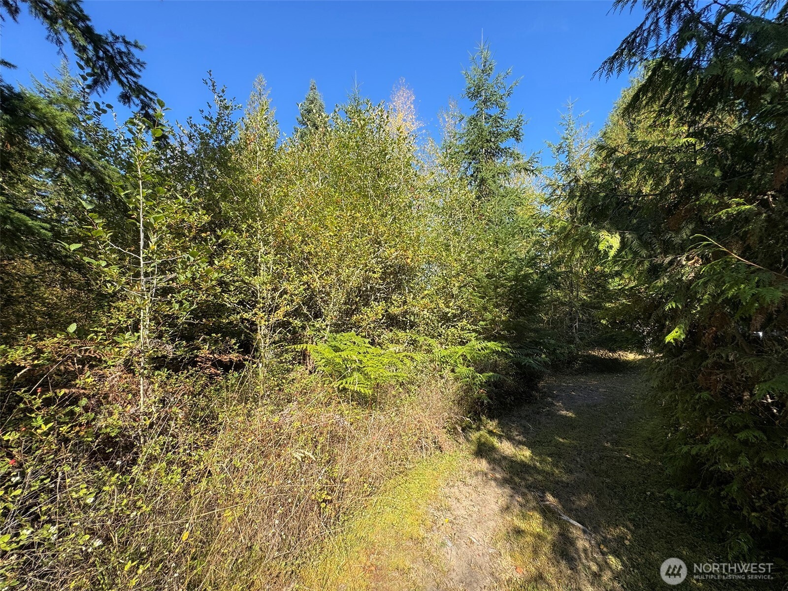 9999 Hooker Road Property Photo 26