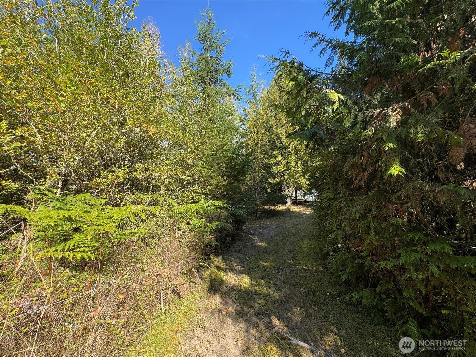 9999 Hooker Road Property Photo 27