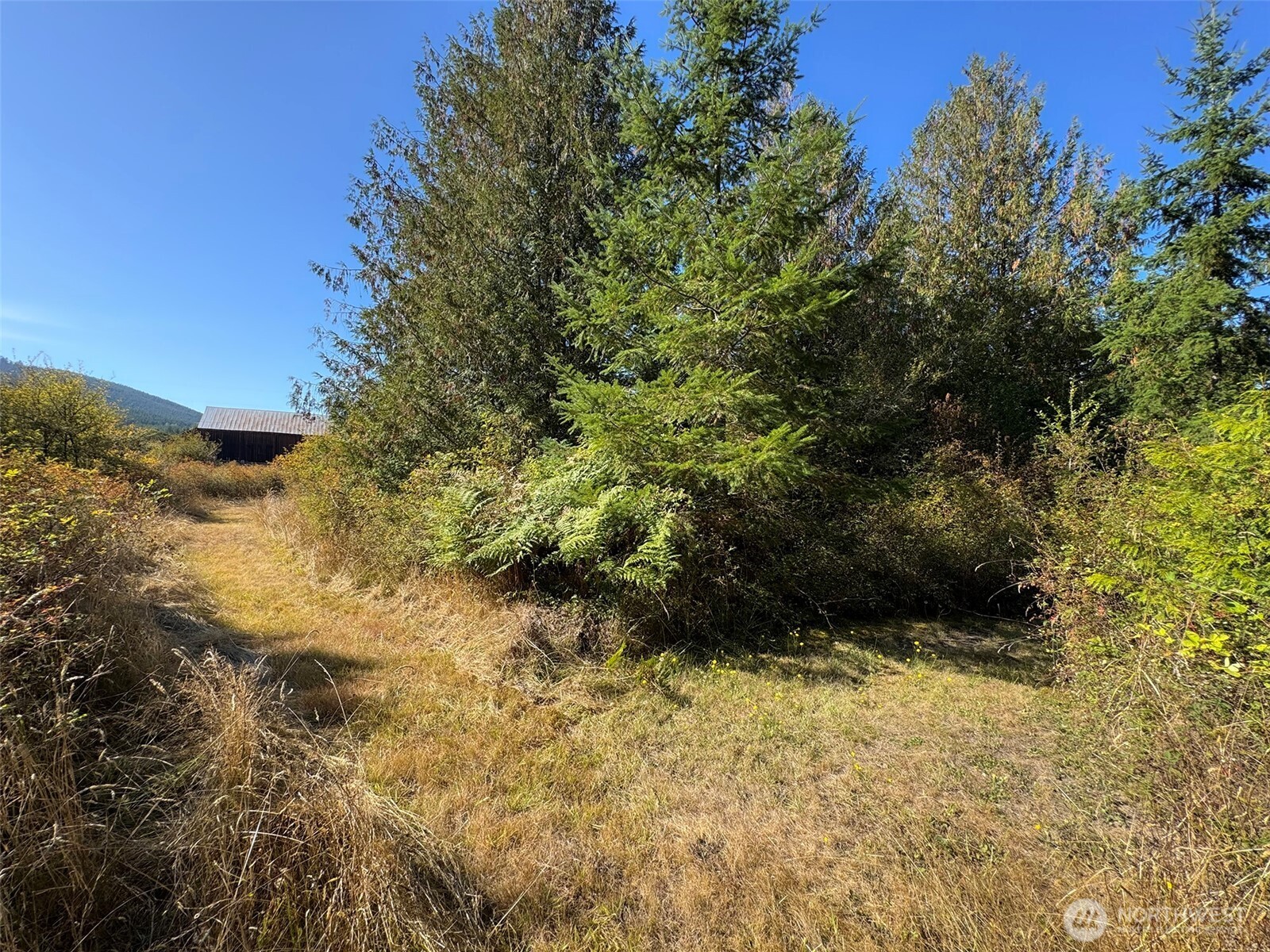 9999 Hooker Road Property Photo 28