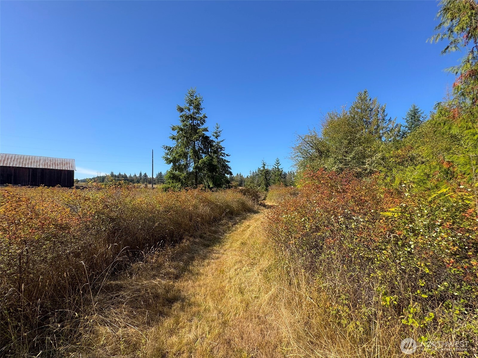 9999 Hooker Road Property Photo 29
