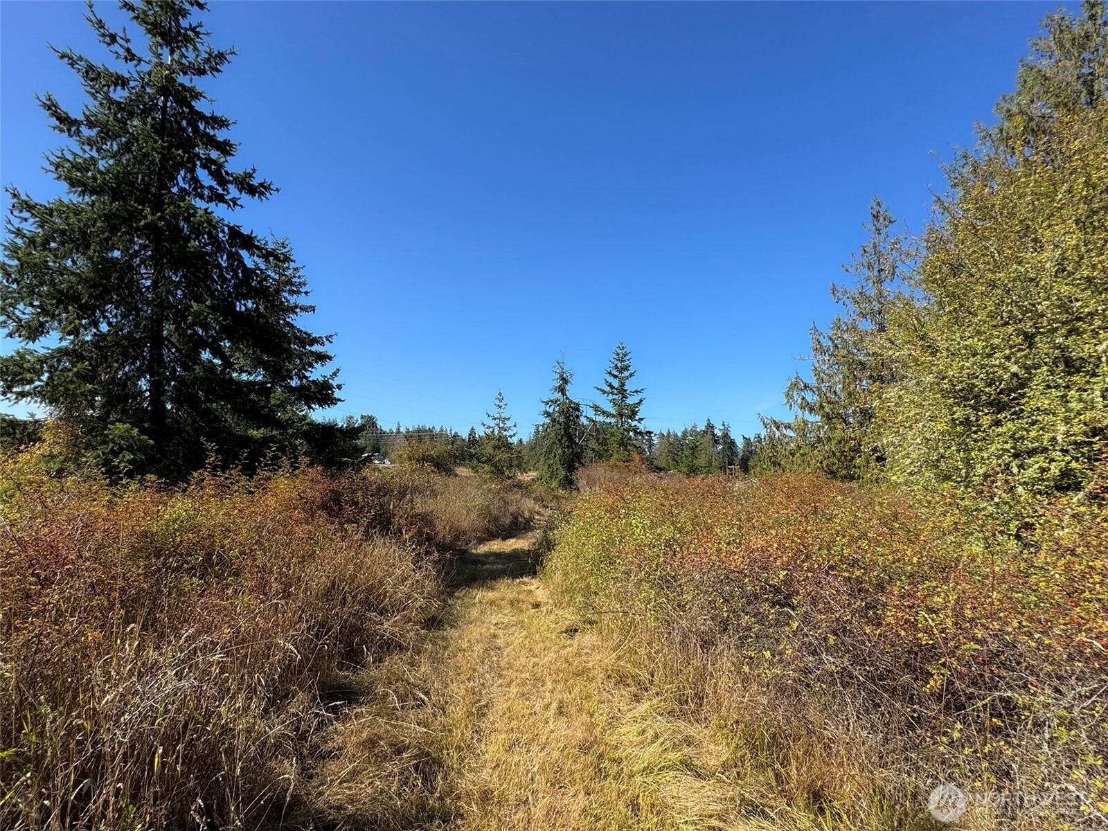 9999 Hooker Road Property Photo 30