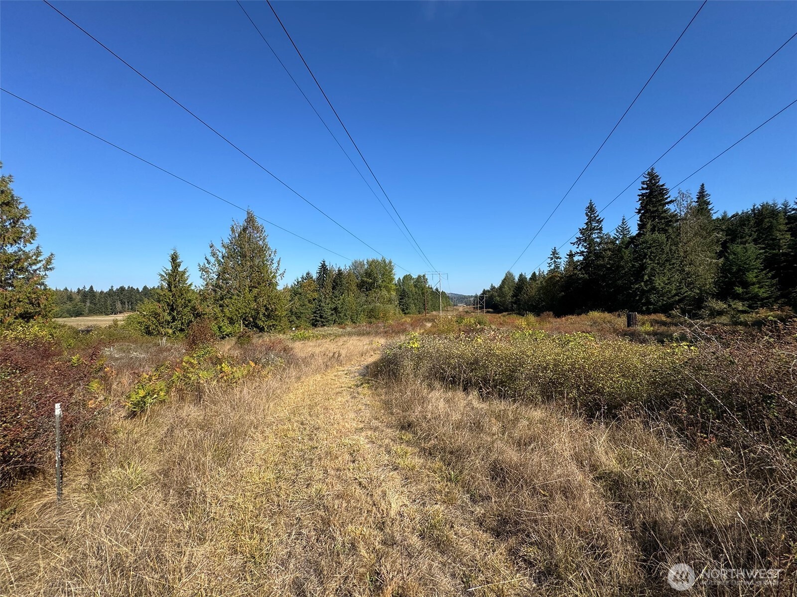9999 Hooker Road Property Photo 33