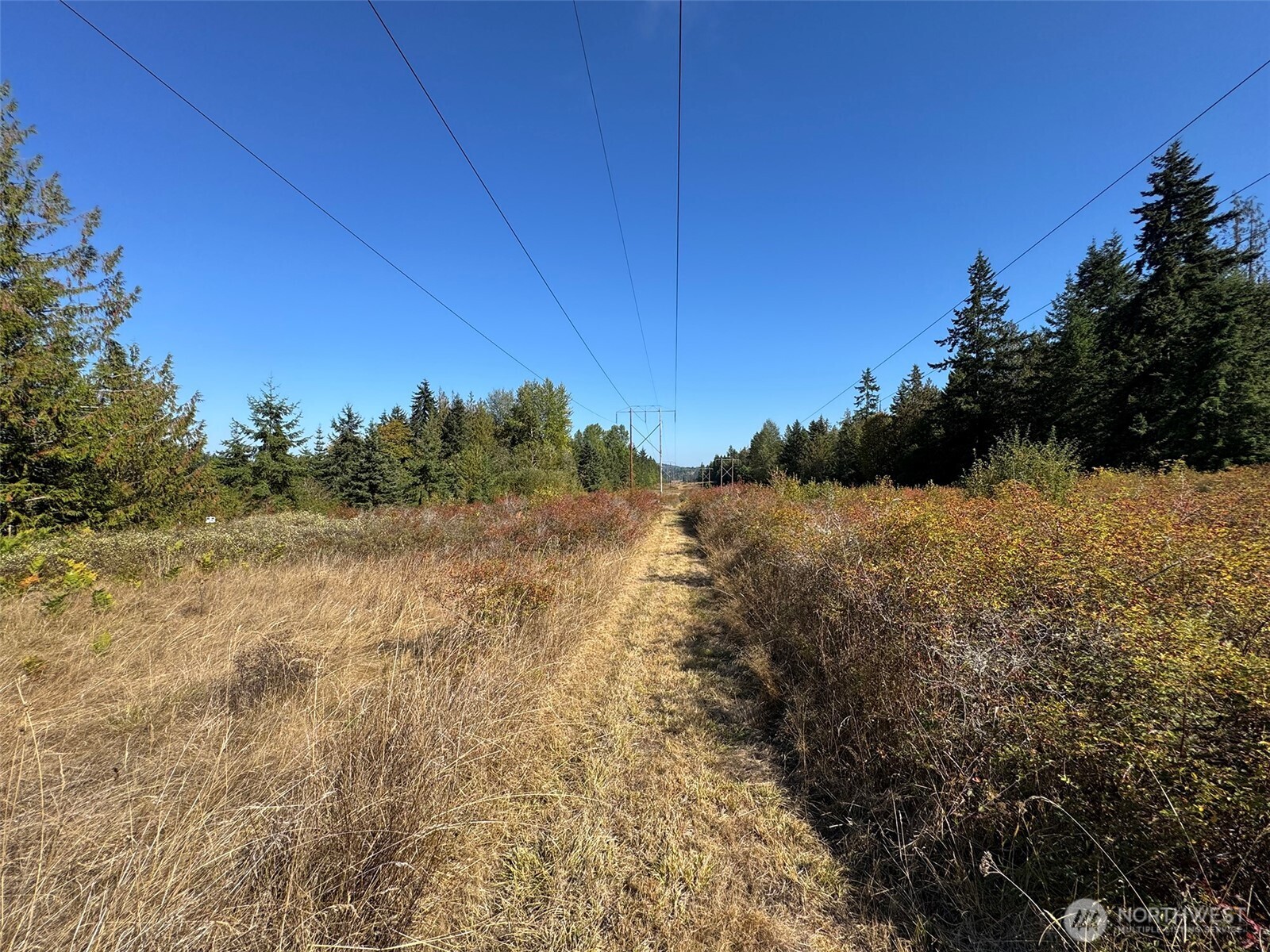 9999 Hooker Road Property Photo 34