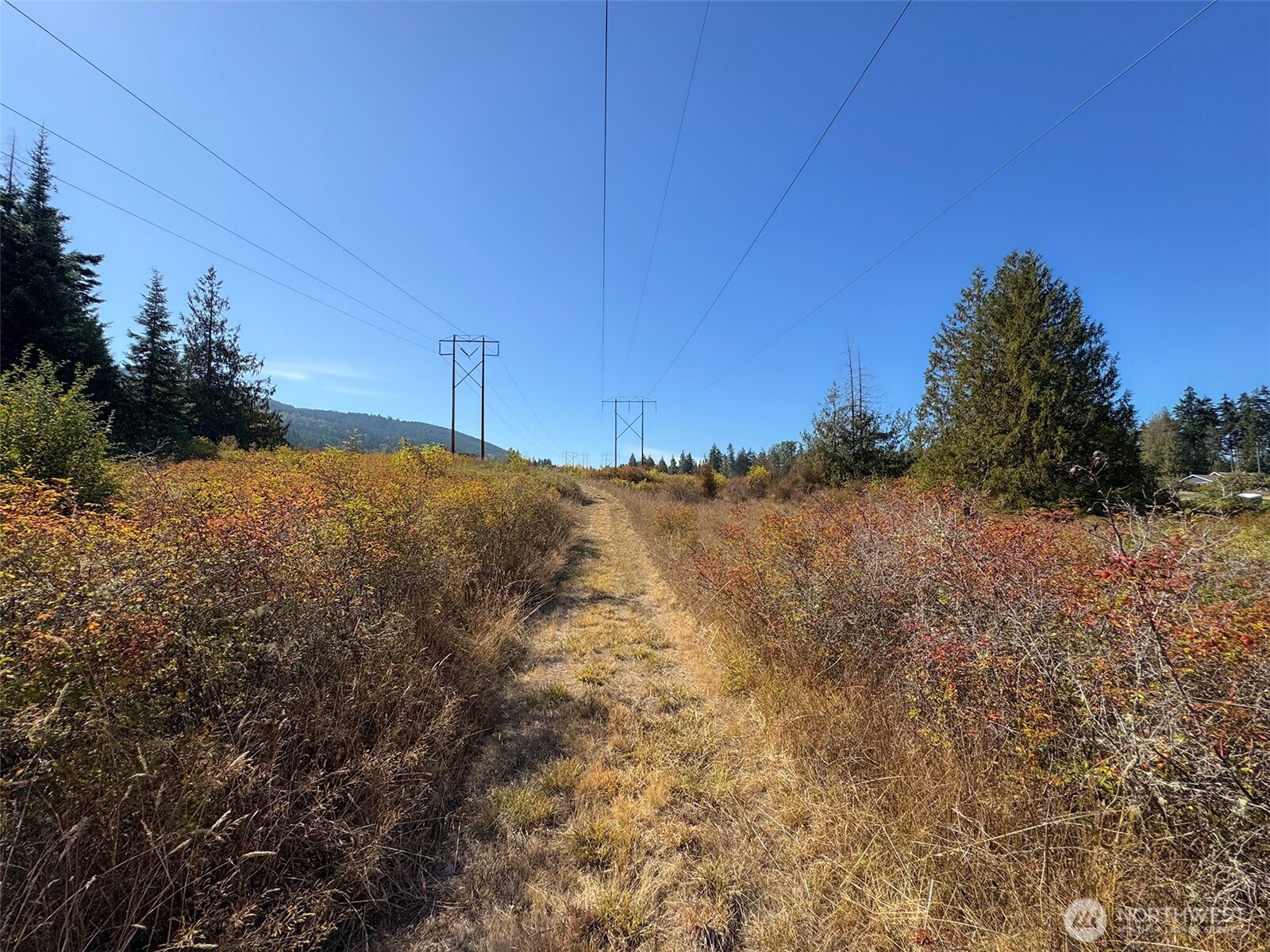 9999 Hooker Road Property Photo 35