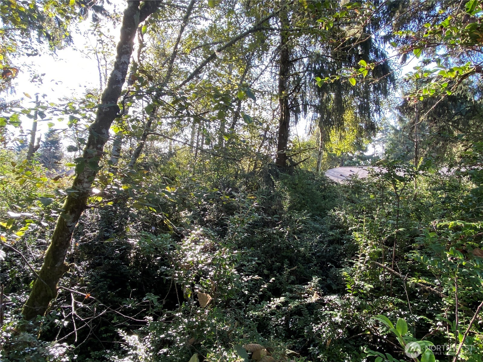 364 Duck Lake Drive Property Photo 2