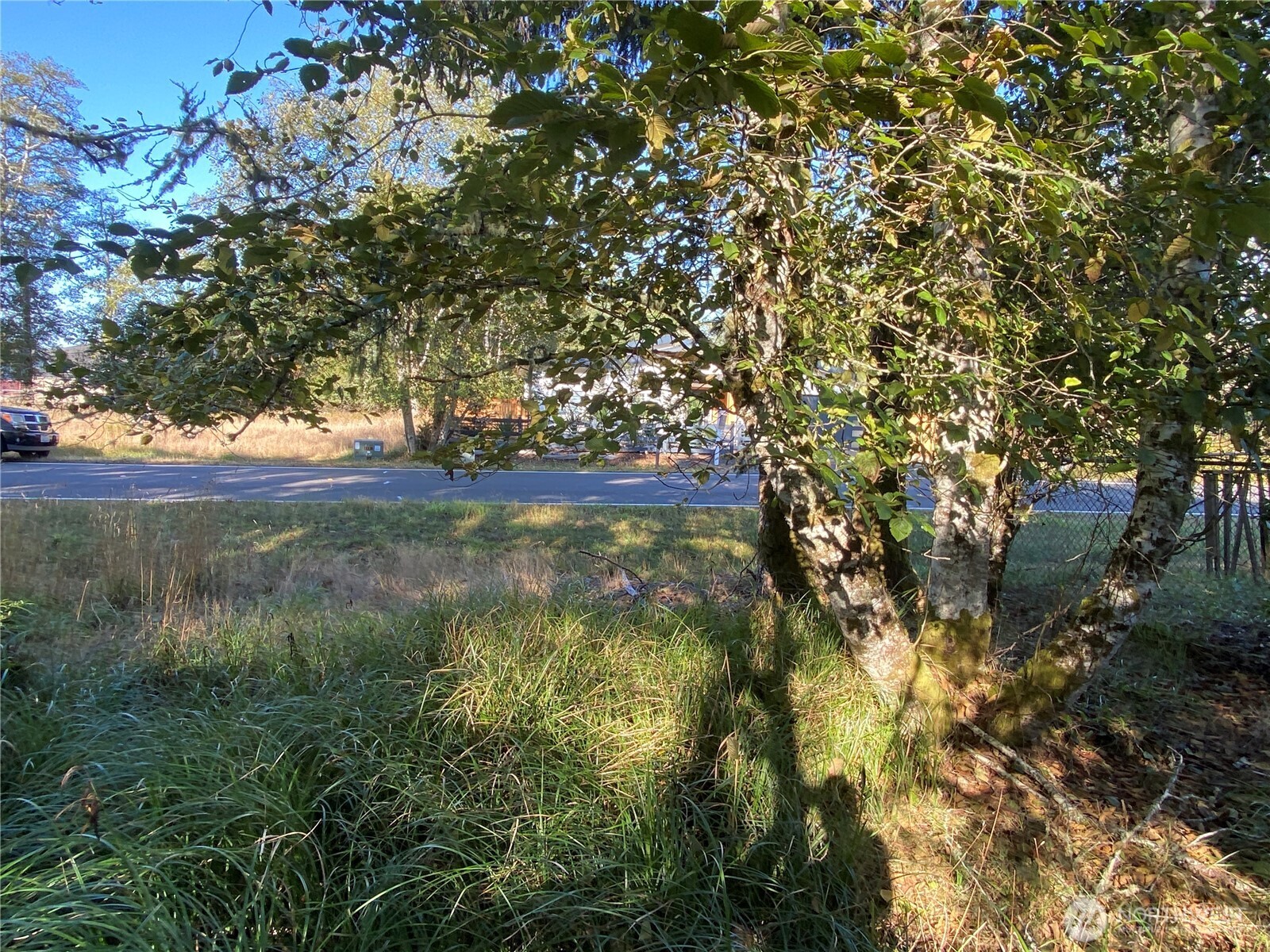 364 Duck Lake Drive Property Photo 3
