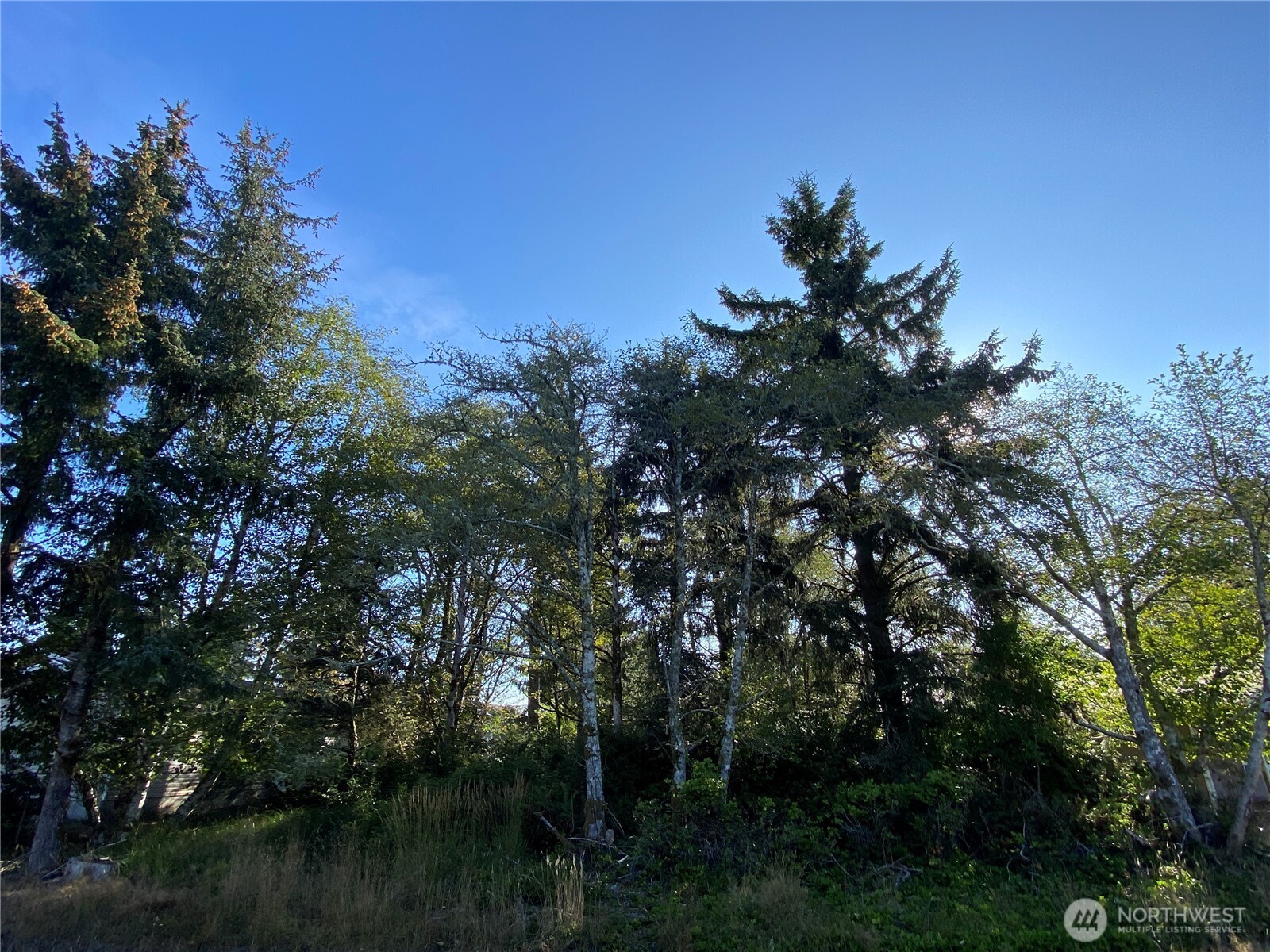 364 Duck Lake Drive Property Photo 5