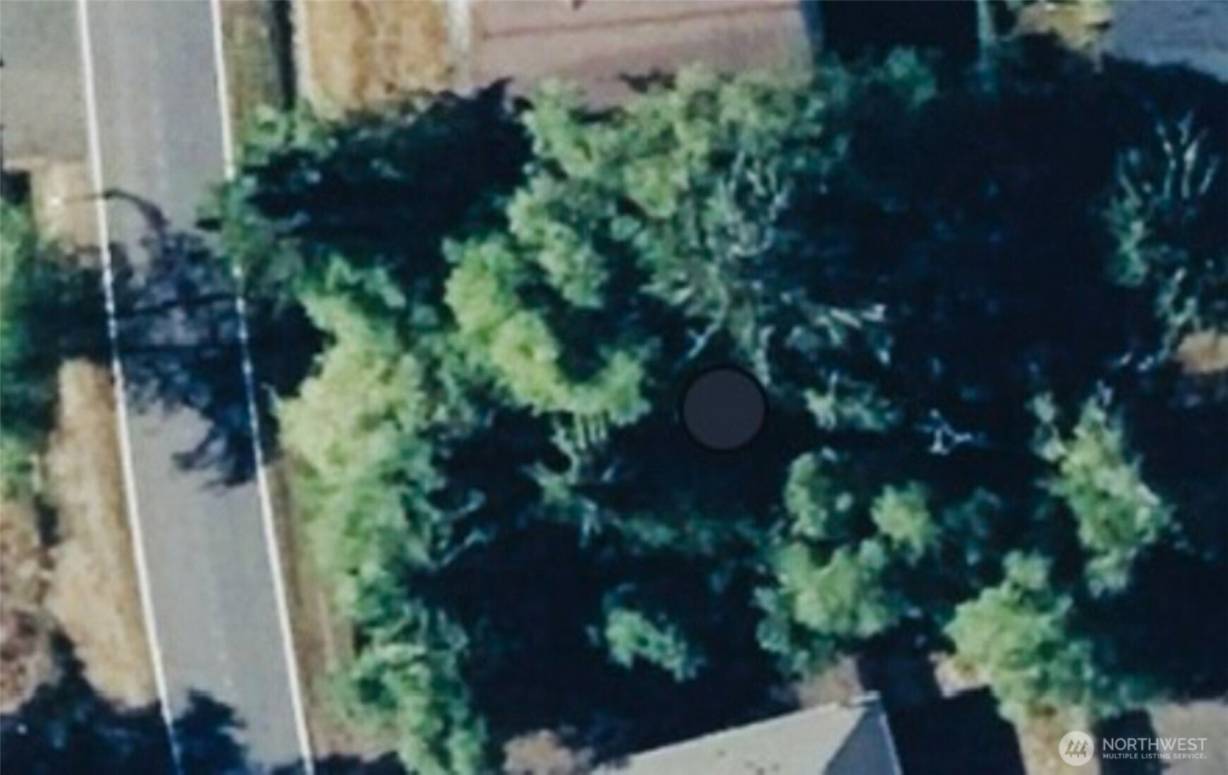 364 Duck Lake Drive Property Photo 6