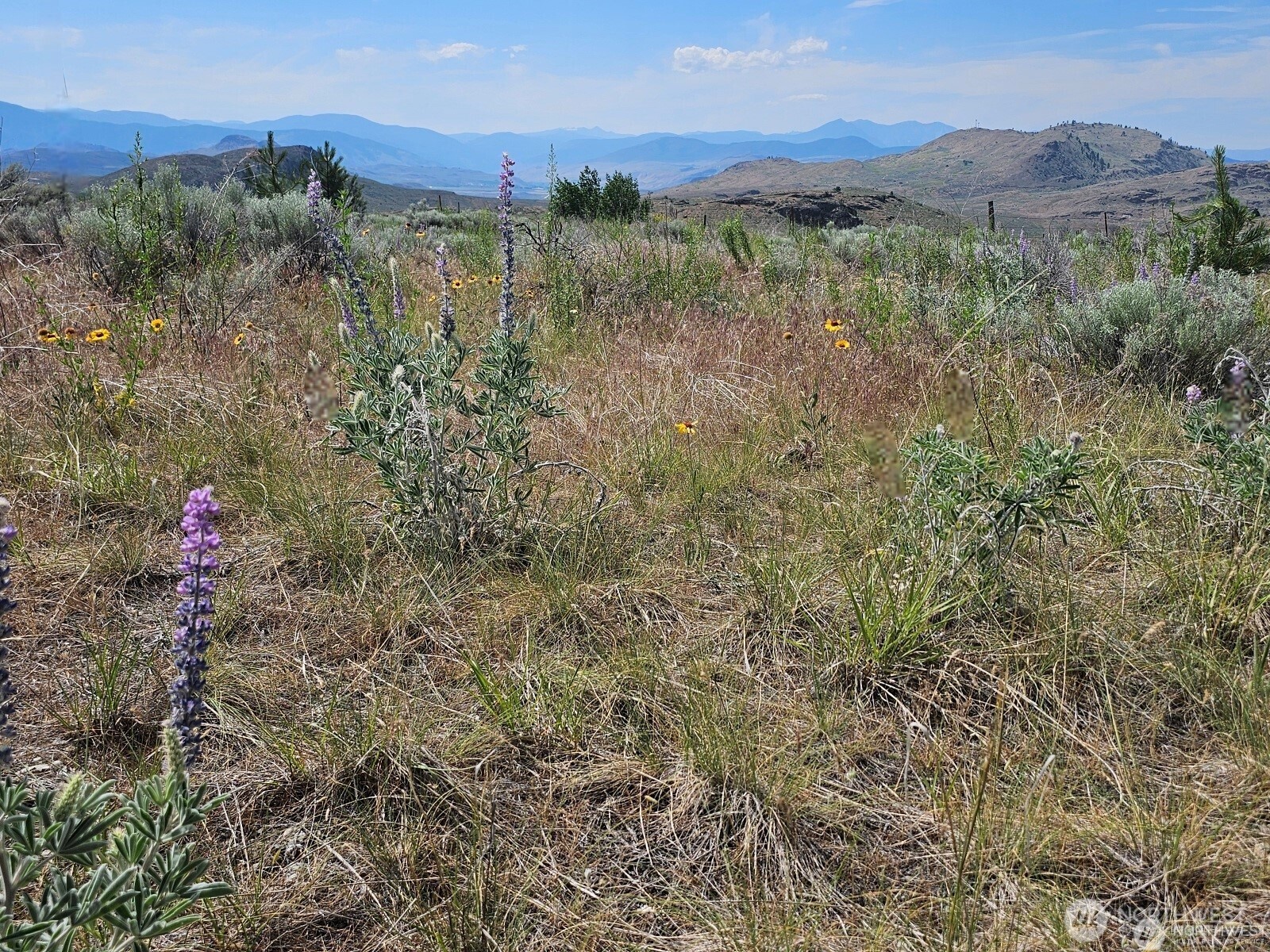 716 X Havillah Road Property Photo 3