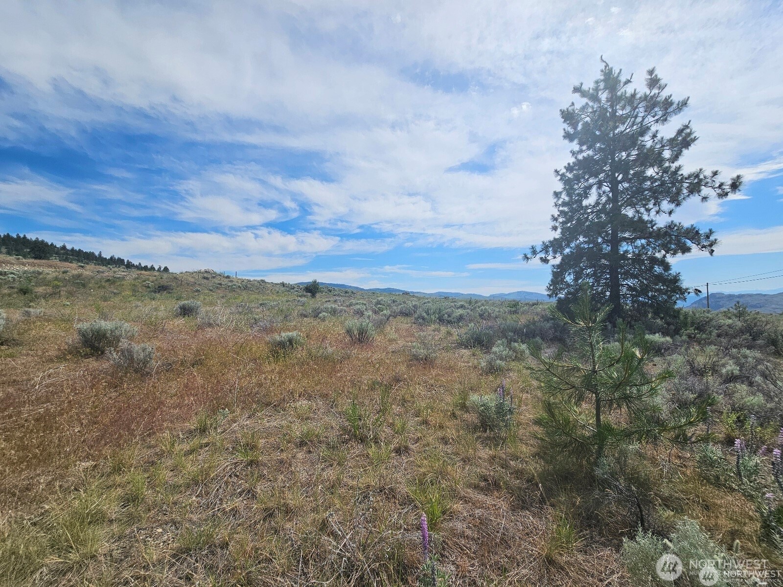 716 X Havillah Road Property Photo 6