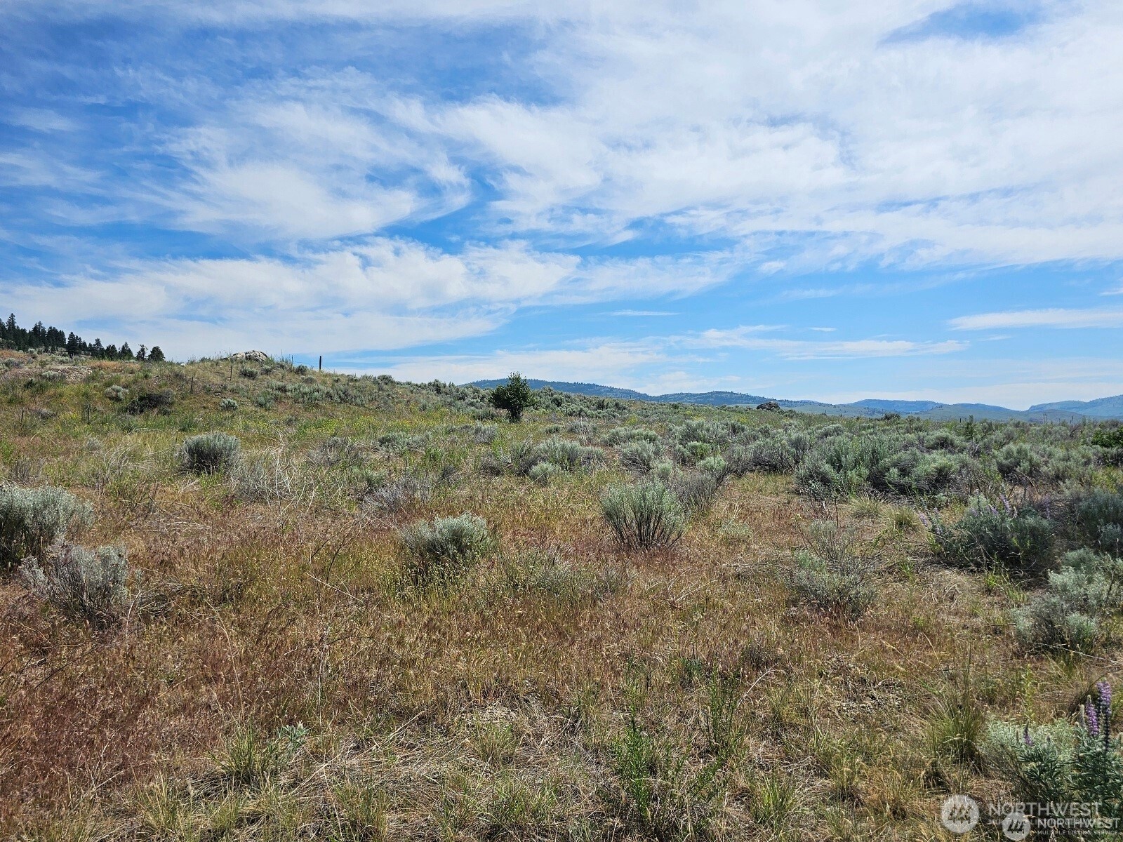 716 X Havillah Road Property Photo 10