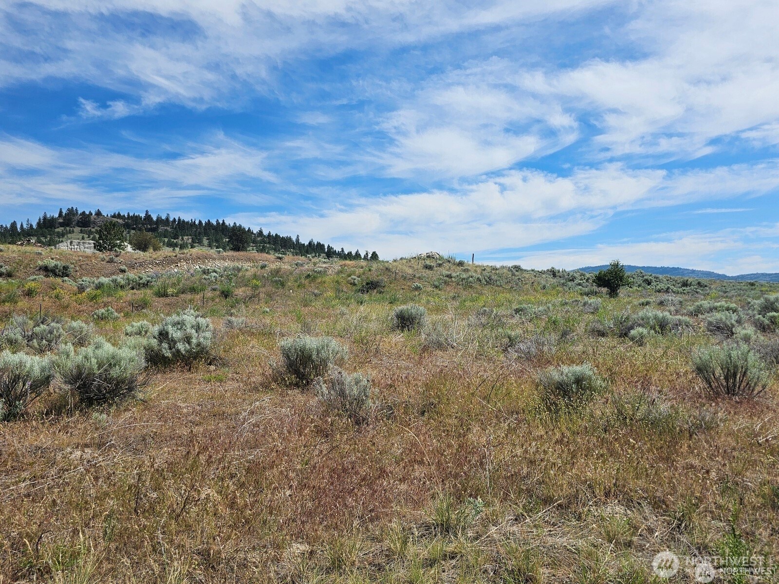 716 X Havillah Road Property Photo 12