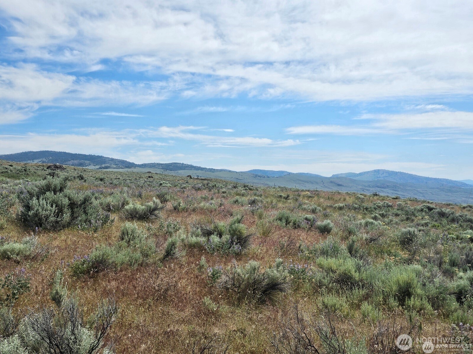 716 X Havillah Road Property Photo 13