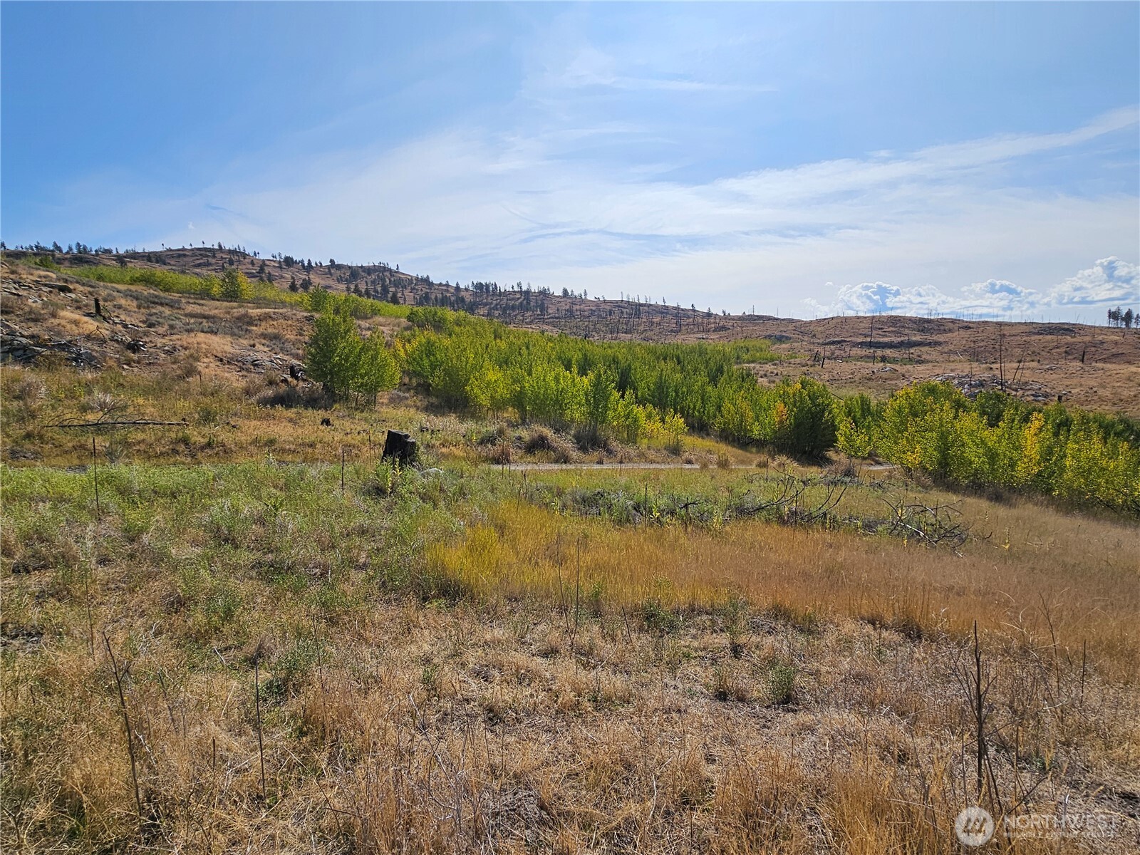 84 Allen Drive Property Photo 12