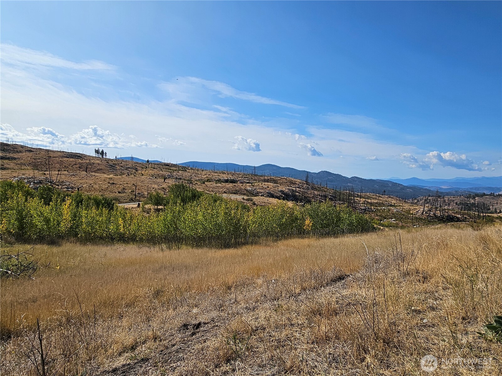 84 Allen Drive Property Photo 13