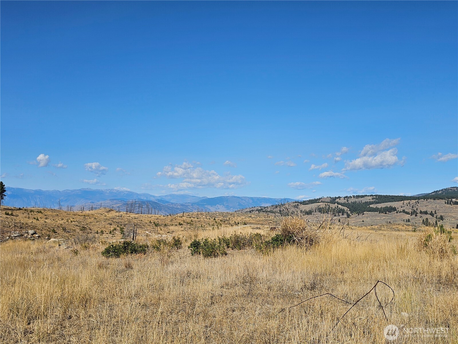 84 Allen Drive Property Photo 15