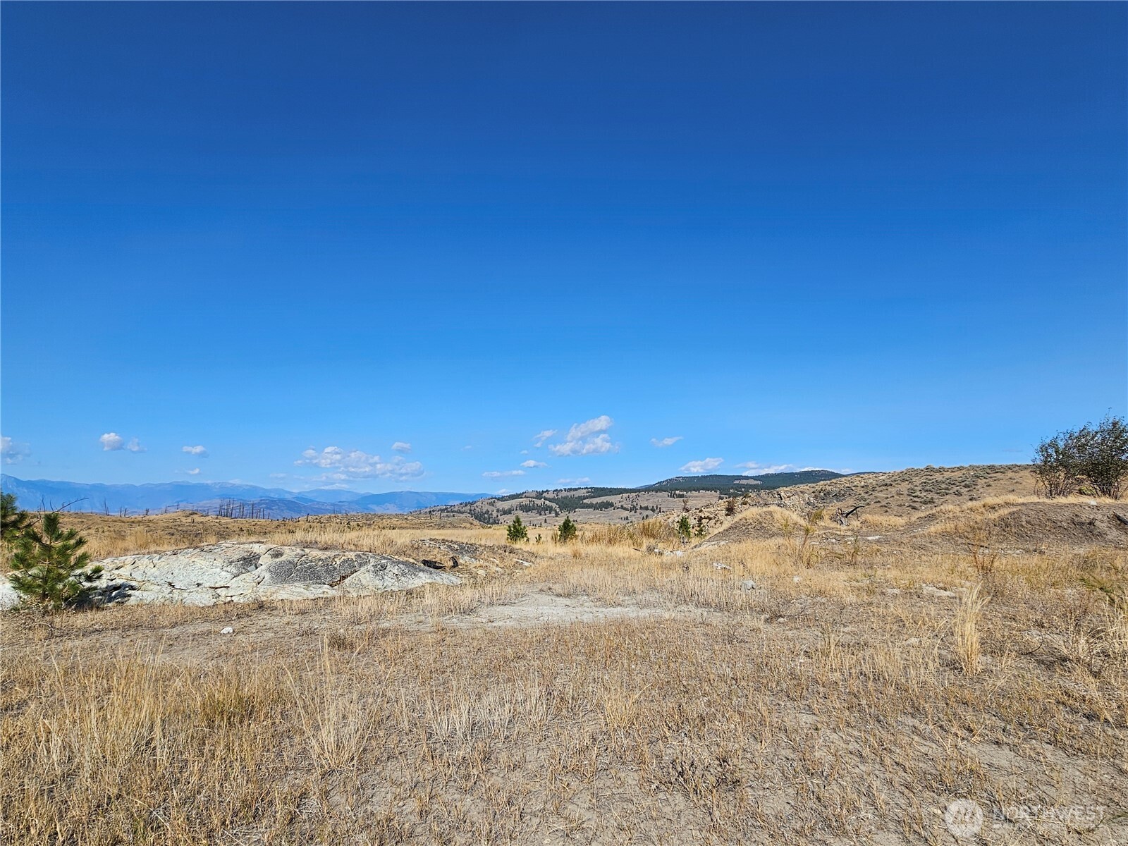 84 Allen Drive Property Photo 19