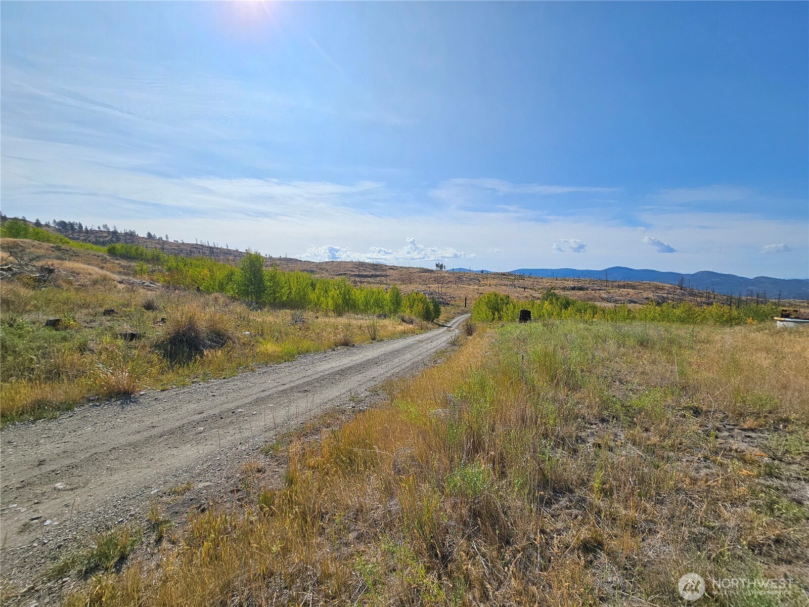 84 Allen Drive Property Photo 20